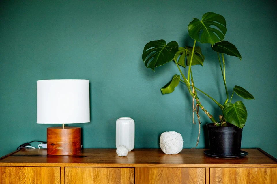 Mur peint bleu canard au-dessus d'un buffet en bois, lampe et plante